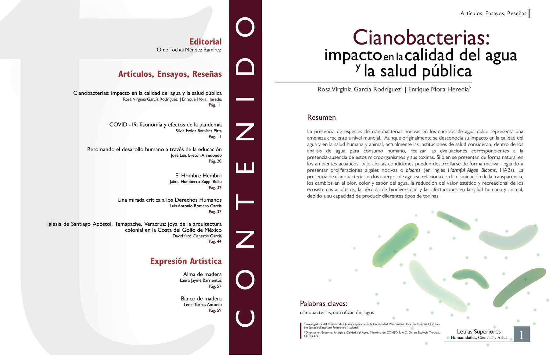 Revista Letras Superiores — 2